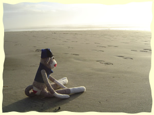 Sock Monkey Fun! Monkeys in the Wild